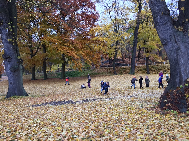 Fritidsbarn leker bland löv