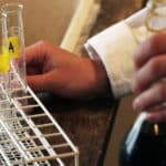 Naturvetenskapsprogrammet på Campus Manilla